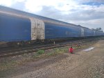 CPS FLT-302324-9